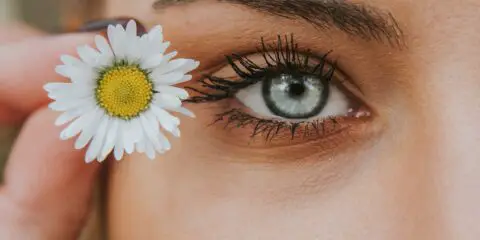 Women holding a small daisy near her eye lashes. Women is wearing mascara