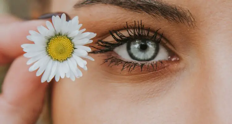 Women holding a small daisy near her eye lashes. Women is wearing mascara