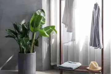 A minimalist's bedroom, with a plant, wicker basket, and few items of clothing with sneakers on the side