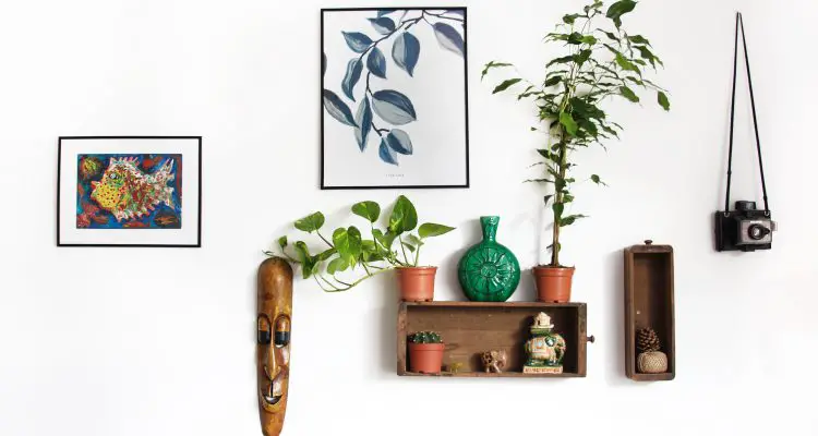 home deco with plants and photo frames