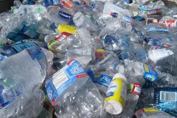 Piles and piles of plastic bottles