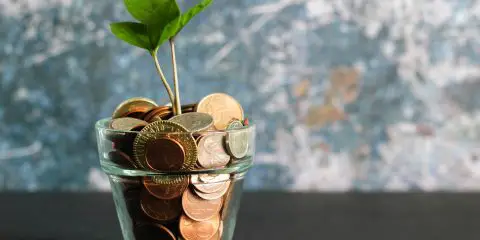 A plant pot filled with pennies and a plant stem coming out of it