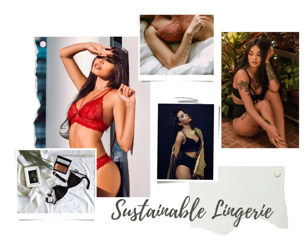 Green-and-Brown-Realistic-Interior-Design-Moodboard-Photo-Collage-for-sustainable-lingerie.