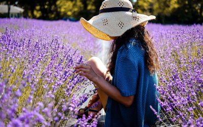 woman sitting in lavender field with hat on
